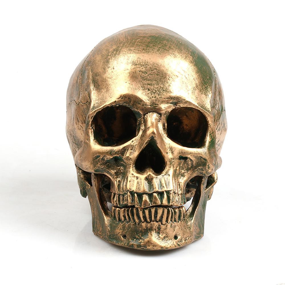 Decorative Human Skull