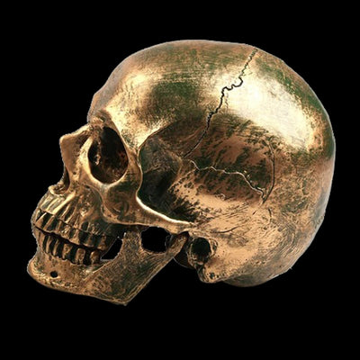 Decorative Human Skull