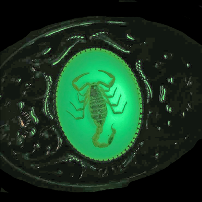 Glow-In-The-Dark Scorpion Belt Buckle