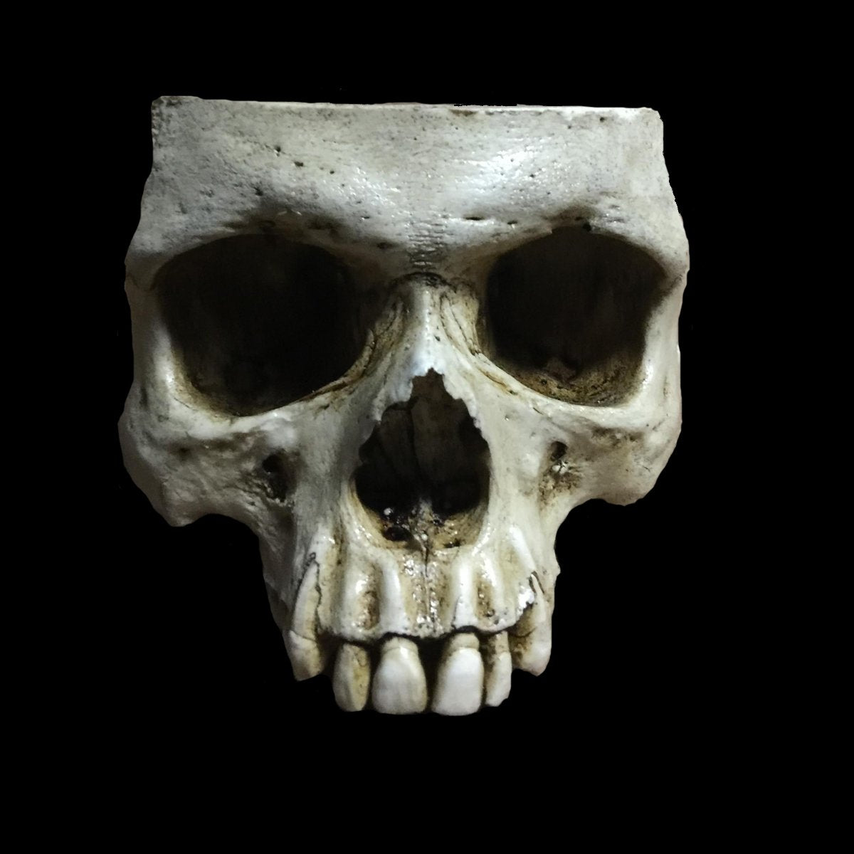 Skull of Thine Enemy Bowl