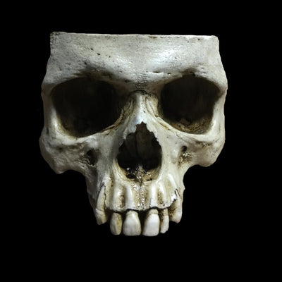 Skull of Thine Enemy Bowl